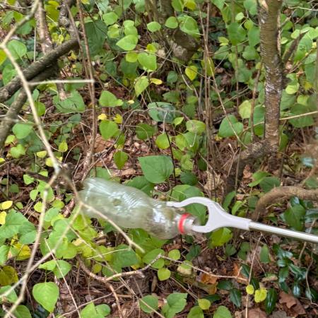 Größeres Bild anzeigen