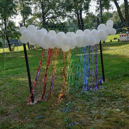 Größeres Bild anzeigen